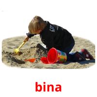 bina picture flashcards
