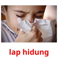 lap hidung picture flashcards