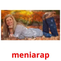 meniarap Bildkarteikarten