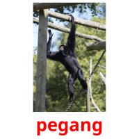 pegang picture flashcards