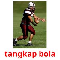 tangkap bola picture flashcards
