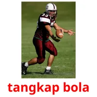 tangkap bola Bildkarteikarten