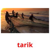 tarik picture flashcards