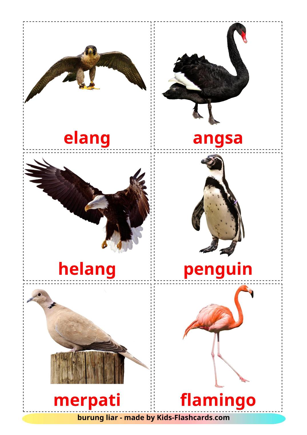 Les Oiseaux Sauvages - 18 Flashcards malais imprimables gratuitement