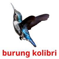 burung kolibri card for translate