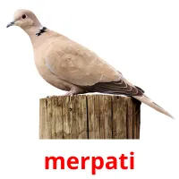 merpati ansichtkaarten