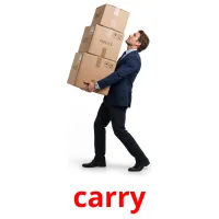 carry bildekort