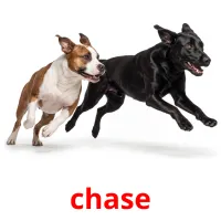 chase bildekort
