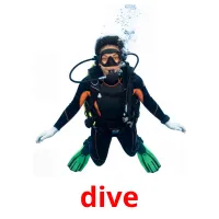 dive bildekort