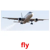 fly bildekort