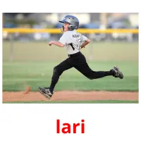 lari flashcards illustrate