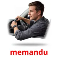 memandu bildekort