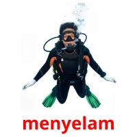 menyelam bildekort