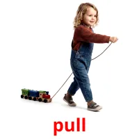 pull bildekort