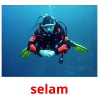selam flashcards illustrate