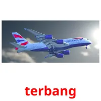 terbang flashcards illustrate