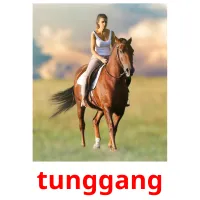 tunggang flashcards illustrate