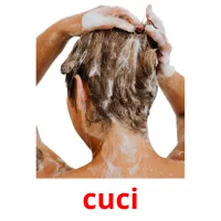 cuci flashcards illustrate