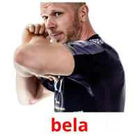 bela flashcards illustrate