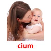 cium flashcards illustrate