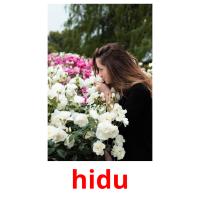 hidu flashcards illustrate