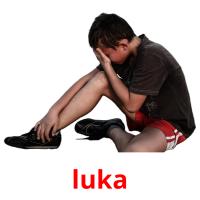 luka flashcards illustrate