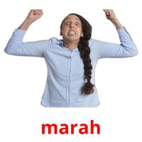 marah flashcards illustrate