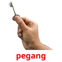 pegang picture flashcards