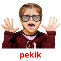 pekik picture flashcards