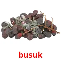 busuk карточки энциклопедических знаний