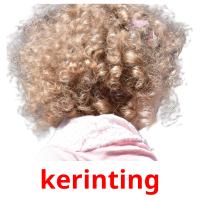 kerinting picture flashcards