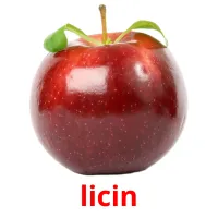 licin карточки энциклопедических знаний