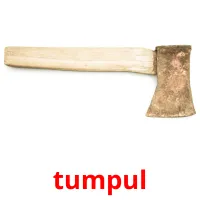 tumpul карточки энциклопедических знаний