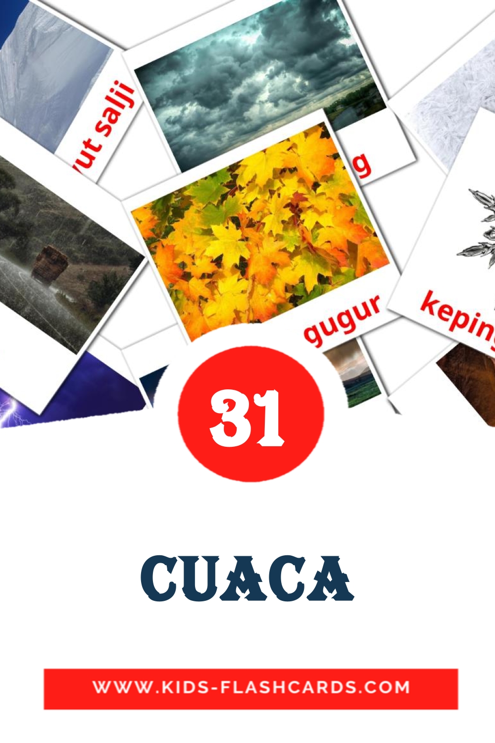 31 cartes illustrées de Cuaca pour la maternelle en malais