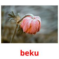 beku picture flashcards