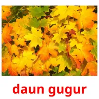 daun gugur picture flashcards