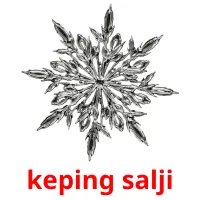 keping salji picture flashcards