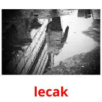 lecak picture flashcards