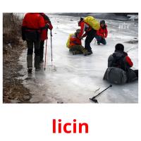 licin picture flashcards