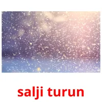 salji turun picture flashcards