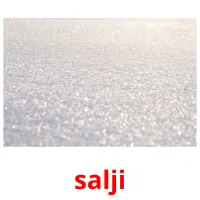 salji picture flashcards