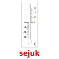 sejuk picture flashcards