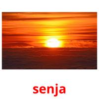 senja picture flashcards