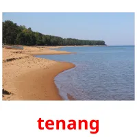 tenang picture flashcards