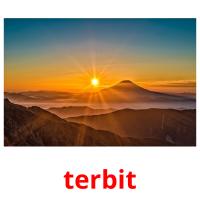 terbit picture flashcards