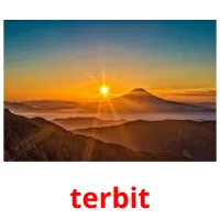 terbit picture flashcards