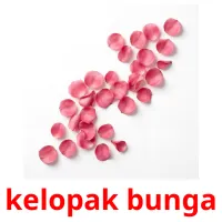 kelopak bunga cartões com imagens