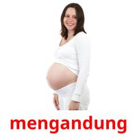 mengandung picture flashcards