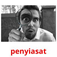 penyiasat picture flashcards