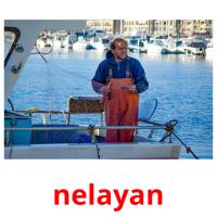 nelayan picture flashcards